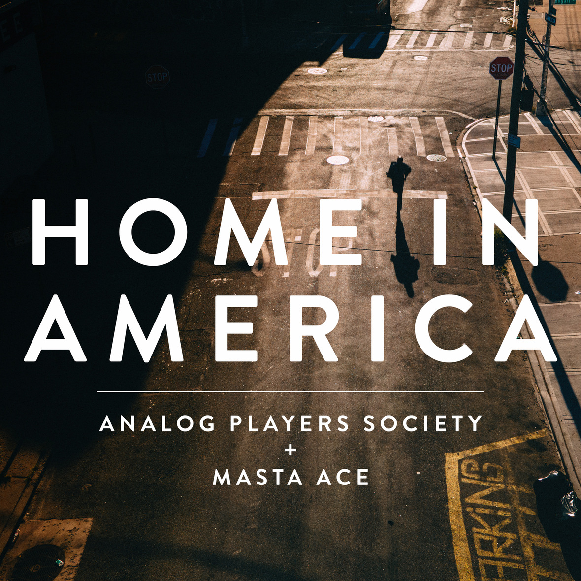 HOMEINAMERICA copy
